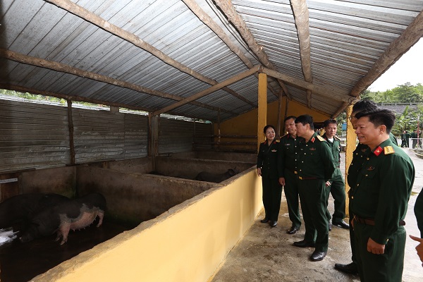 Tham quan mô hình nuôi lợn nái sinh sản. 