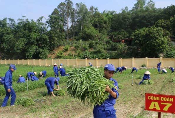 Đoàn viên Công đoàn Nhà máy Z129 tích cực tăng gia sản xuất.